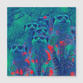 AnimalMix_Meerkat_015 (Front)
