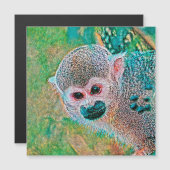 AnimalMix_Monkey_010 (Front/Back)