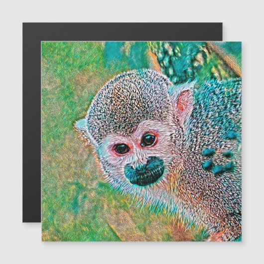 AnimalMix_Monkey_010 (Front/Back)