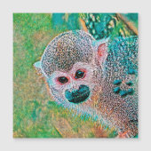 AnimalMix_Monkey_010 (Front)