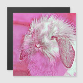 AnimalMix_Rabbit_008 (Front/Back)