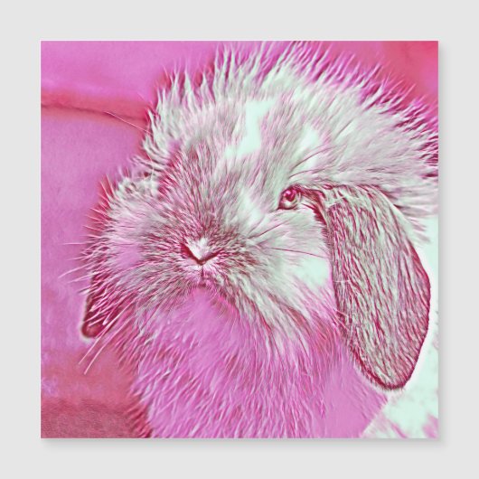 AnimalMix_Rabbit_008 (Front)