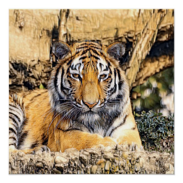 AnimalMix_Tiger_009_by_JAMColors Poster (Front)