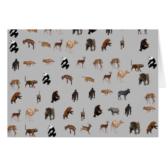 Animals (Front Horizontal)