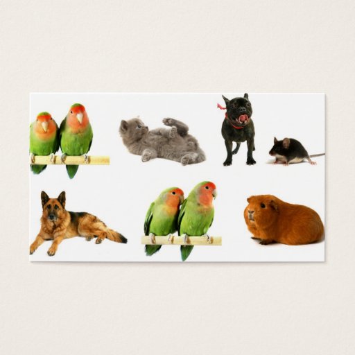 Customizable animals business card templates