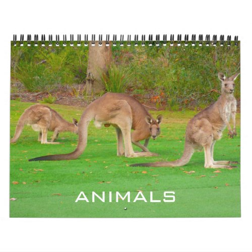 animals 2025 calendar