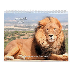 Animals 2027 calendar