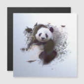 Animals and Art (Front/Back)