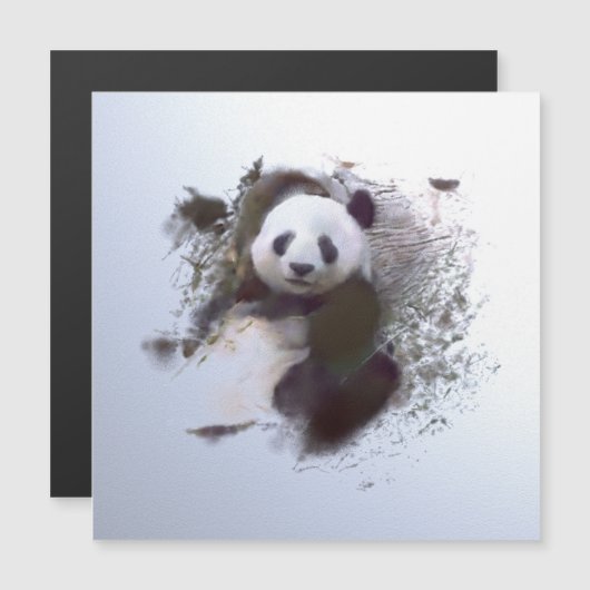 Animals and Art (Front/Back)