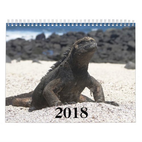 animals and birds of Galapagos Calendar