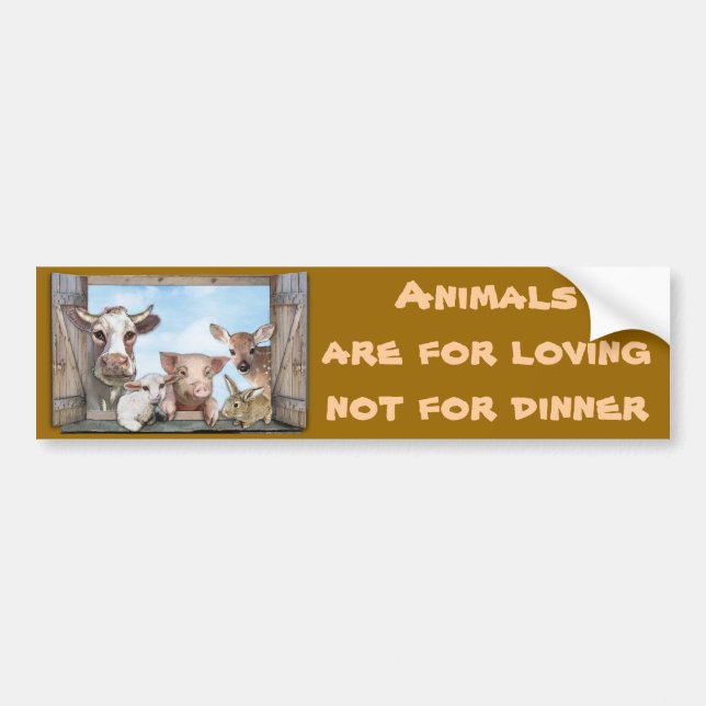 Animals are for loving bumper sticker (Front)