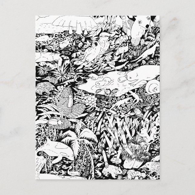 Animals at Peace Postcard (Front)