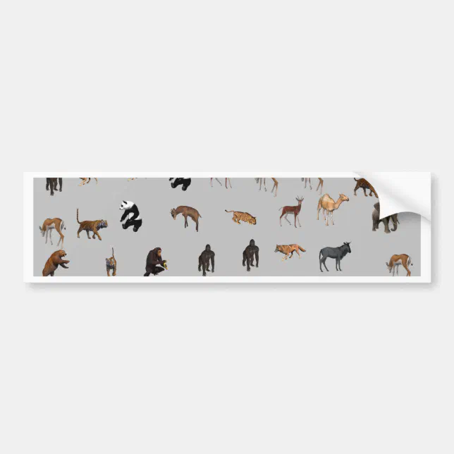 Animals Bumper Sticker | Zazzle