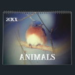 Animals Calendar<br><div class="desc">A collection of birds and animals photography.  Photography by Susan.  Click on Customize to add text and change calendar year dates.  These images are available on many products in my store.  Links to all of my stores are on my Profile page.  Thanks for stopping by Smilin' Eyes Treasures.</div>