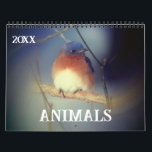 Animals Calendar<br><div class="desc">A collection of birds and animals photography. Photography by Susan. Click on Customize to add text and change calendar year dates. These images are available on many products in my store. Links to all of my stores are on my Profile page. Thanks for stopping by Smilin' Eyes Treasures.</div>