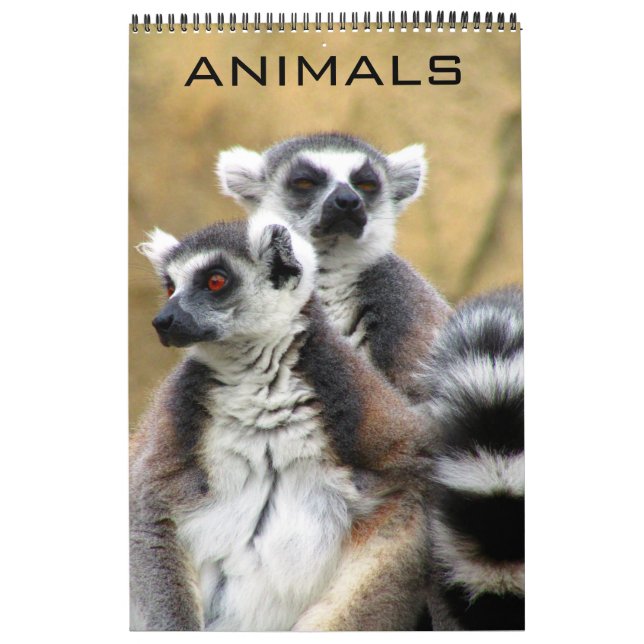 animals calendar (Cover)