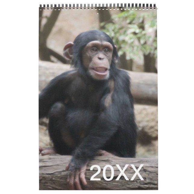 Animals Calendar 20XX (Cover)