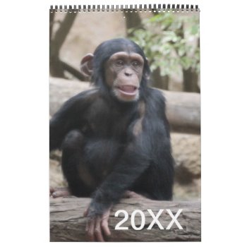 Animals Calendar 20xx by MehrFarbeImLeben at Zazzle