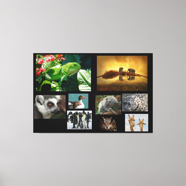 Animals Canvas Print (Front)