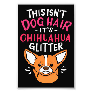 Animals Canvas Wall Art Chihuahua Dog