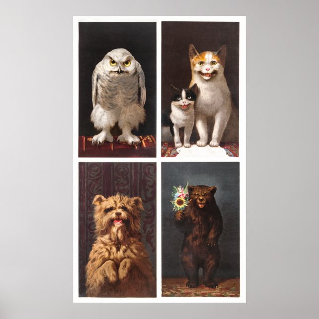 Animals Cards painting Poster (Front)