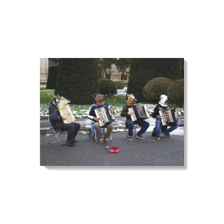 Animal's Concert Canvas Print