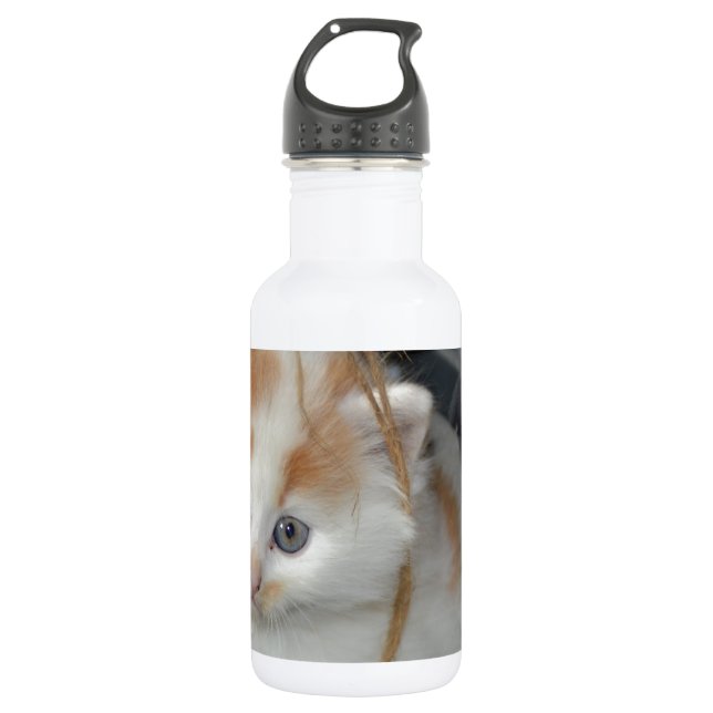 Animals Cute Kitten Kitty Pets Cats Water Bottle (Front)