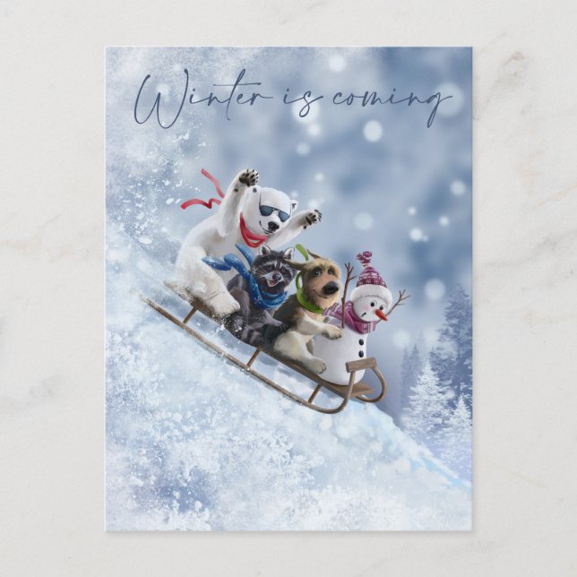 Animals go down the mountain on sleds holiday postcard (Front)