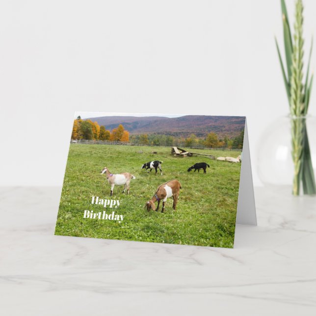 Animals Goats Pasture Vermont Photo Birthday Card (Front)