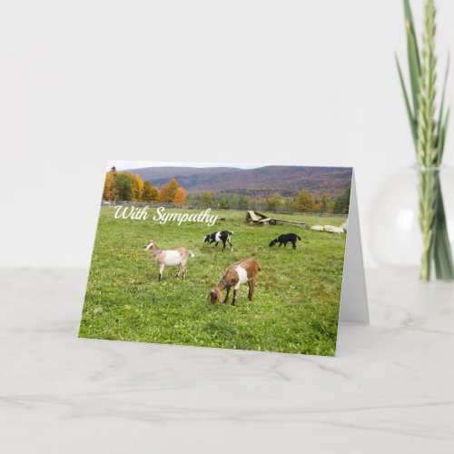 Animals Goats Pasture Vermont Photo Sympathy Card