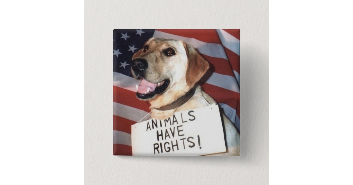 Animals Have Rights Button | Zazzle