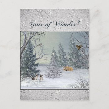 Animals In The Winter Forest  Tree With Star  Star Postcard by toots1 at Zazzle
