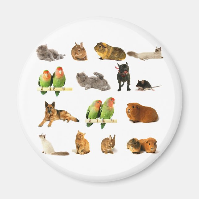 animals magnet (Front)