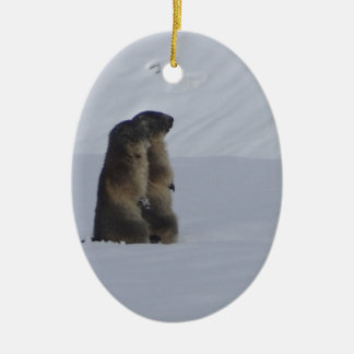 animals marmots savage ceramic ornament