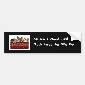 Animals Need Love Bumpersticker Bumper Sticker by TrinityFarm at Zazzle