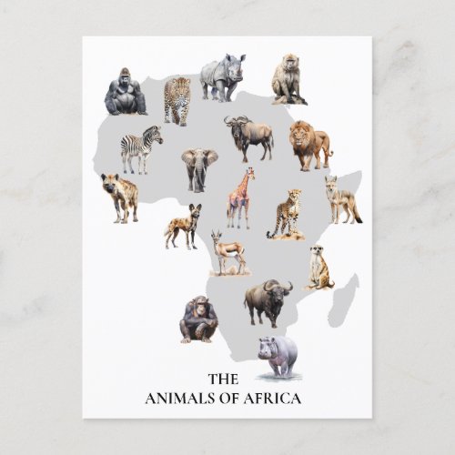  Animals of Africa Safari Wildlife  Postcard