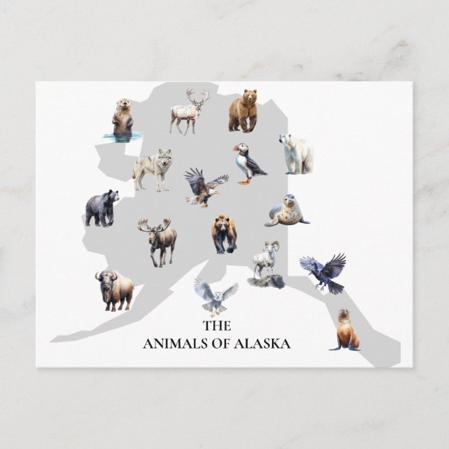 Animals of Alaska North America Postcard (Front)