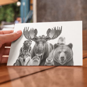 Animals of Alaska Portrait Bear Moose Wolf Postcard
