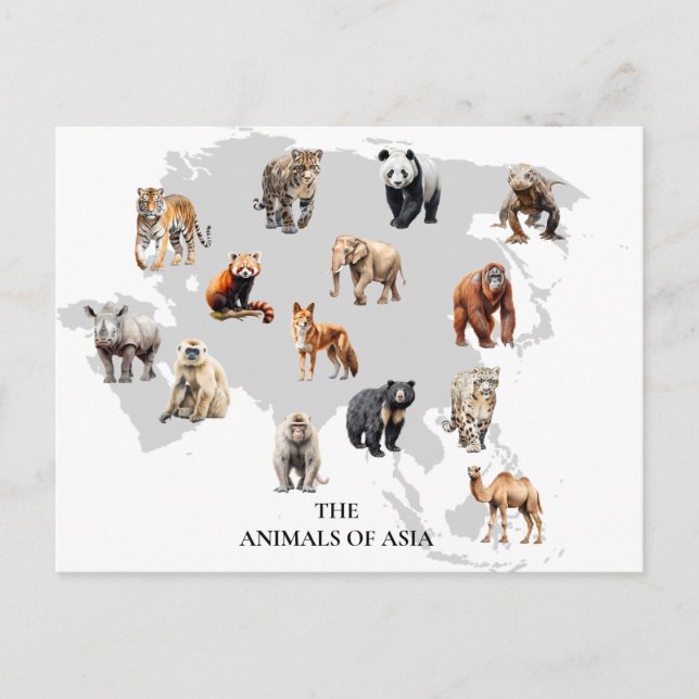 Animals of Asia  Postcard (Front)