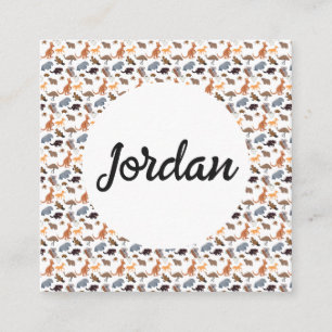 Animals of Australia Aussie Wildlife Enclosure Card