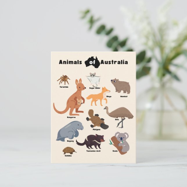 Animals of Australia Aussie Wildlife Postcard (Standing Front)