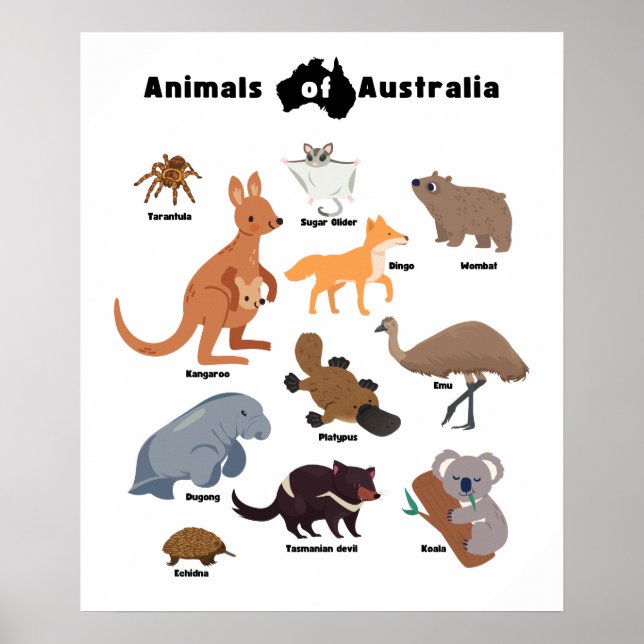 Animals of Australia Aussie Wildlife Poster (Front)