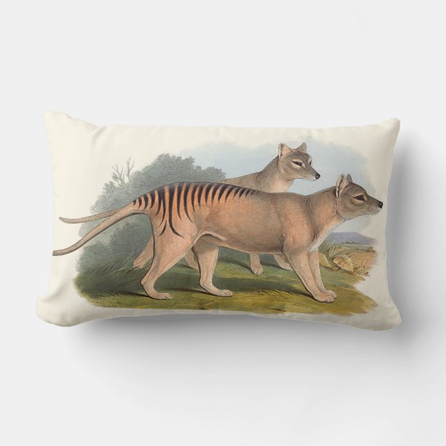 Animals Of Australia Cushions (Front)