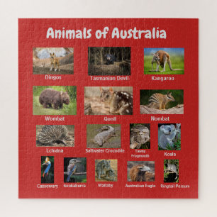 Animals of Australia Jigsaw Puzzle