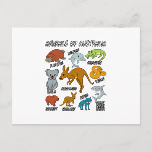 Animals Of Australia Postcard