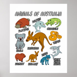 Animals Of Australia Poster