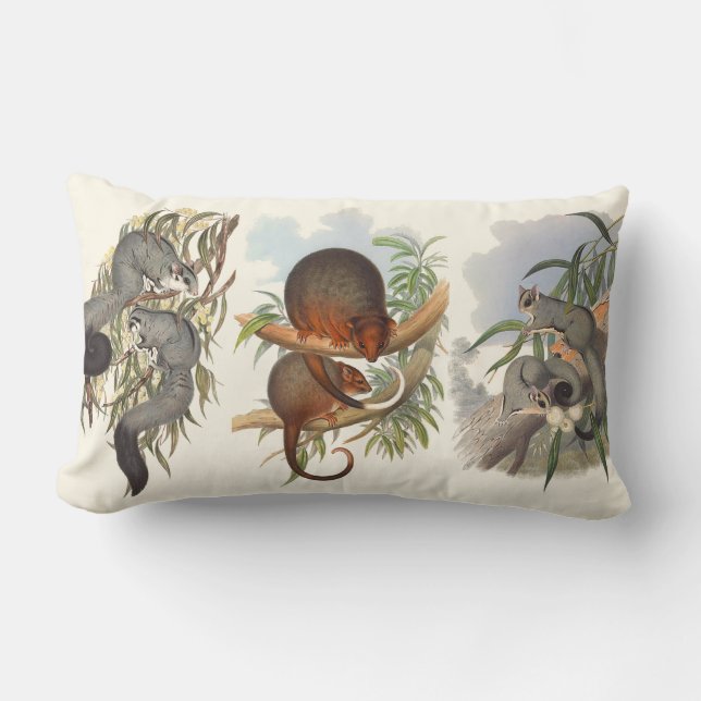 Animals Of Australia The Three Possums Cushions (Front)