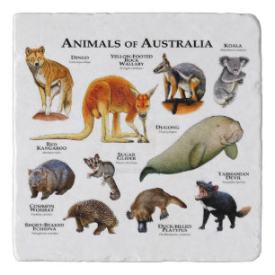 Animals of Australia Trivet
