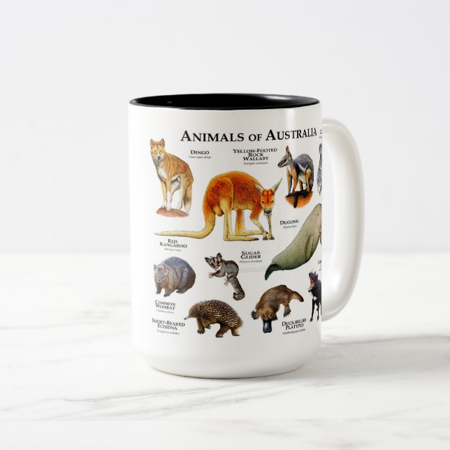 Animals of Australia  Two-Tone Coffee Mug (Front Right)