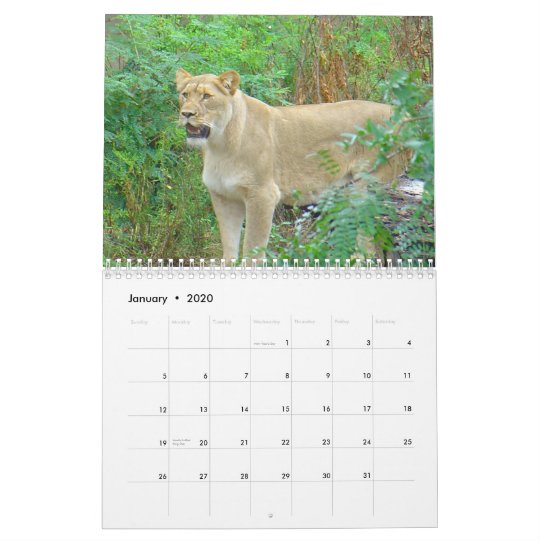 Animals of Brookfield Zoo Calendar